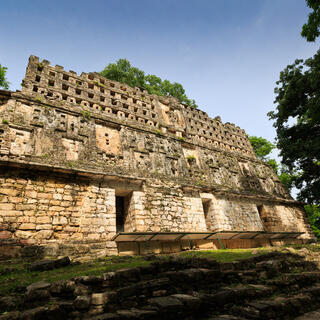 Spitze einer Maya Pyramide