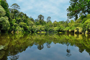 Naturparadies Borneo 