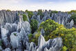 Panorama des Steinwaldes Kunming