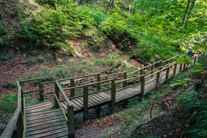 Wanderweg im Jasmund Nationalpark