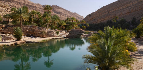 Wasserteich in Wadi Bani Khalid