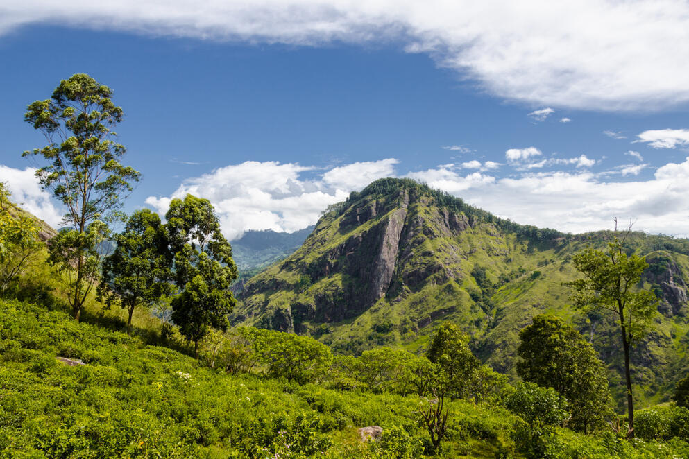Little Adam's Peak
