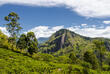 Little Adam's Peak