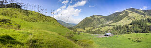 Panorama der Valle del Cocora