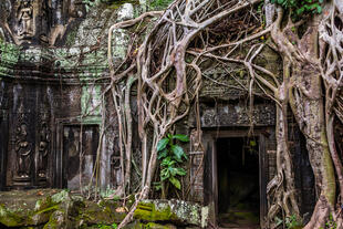 Ruinen von Angkor Thom