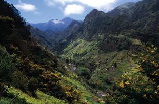 Landschaft Madeiras