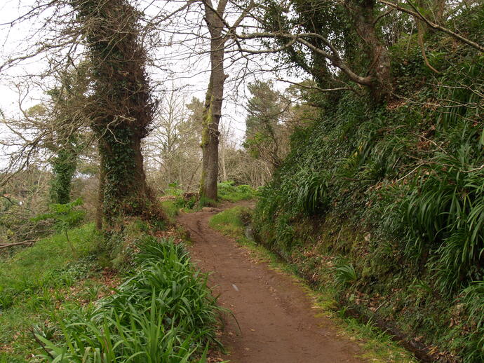 Madeira
