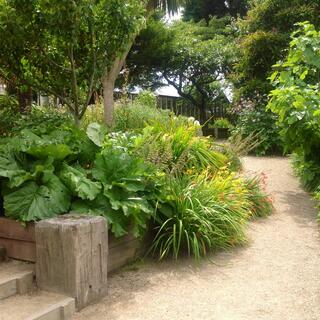 Potager Garden 