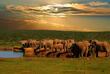 Addo Elefantenpark