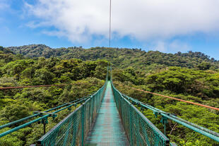 Hängebrücke in Monteverde