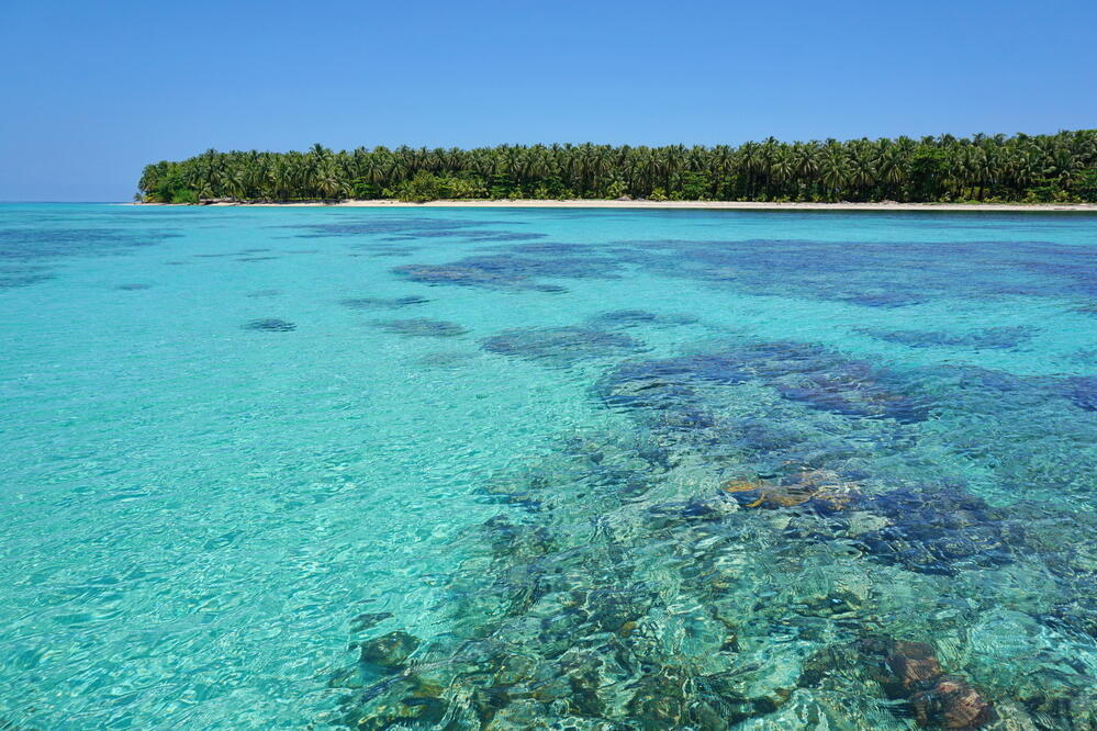 Korallenriff bei den Bocas del Toro Inseln
