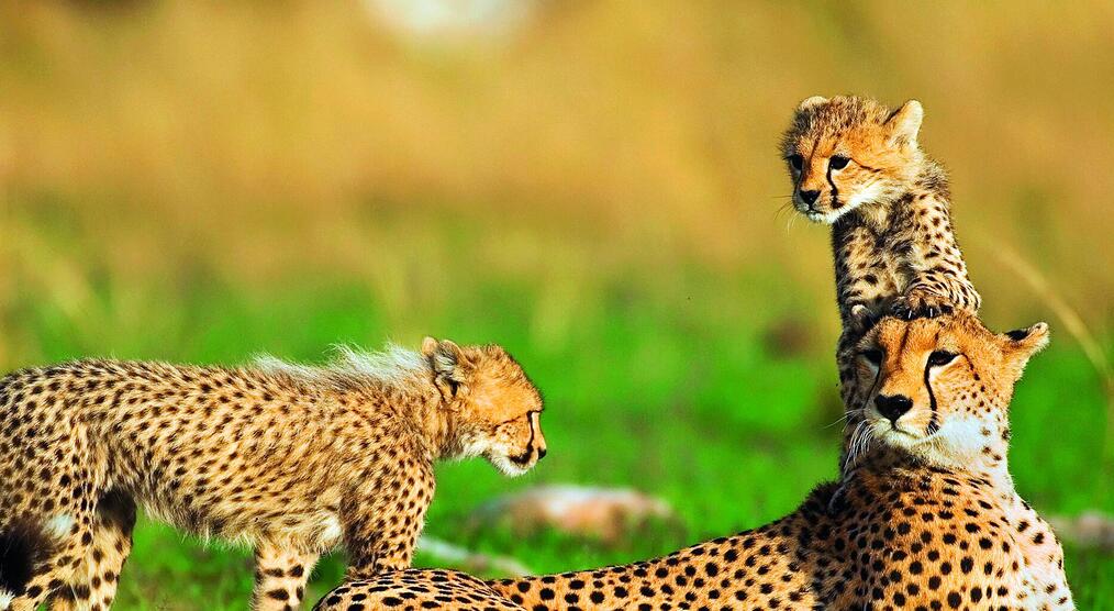 Namibia Reisen