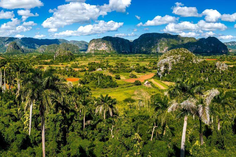 Viñales Tal