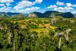 Viñales Tal