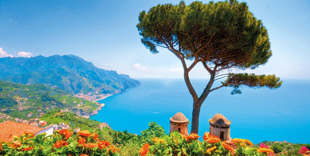 Baum vor Bucht bei Villa Rufolo