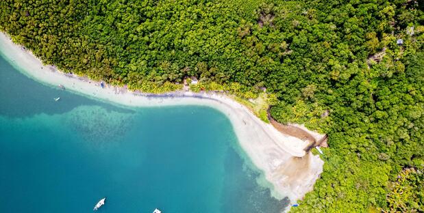 Bocas del Toro