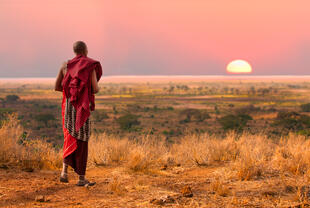 Sonnenuntergang an der Serengeti