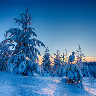 Winter Sonnenuntergang
