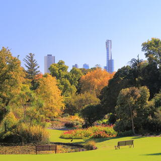 Botanischer Garten von Melbourne 