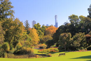 Botanischer Garten von Melbourne 