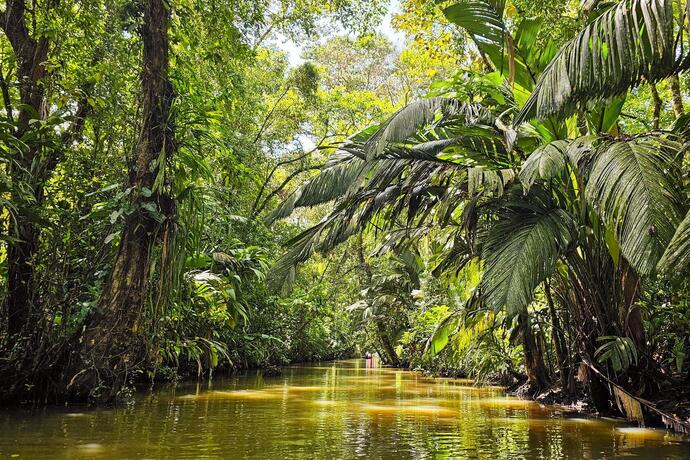 Tortuguero Nationalpark auf einer Costa Rica Reise mit SKR