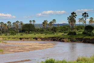 Landschaft im Tarangire Nationalpark