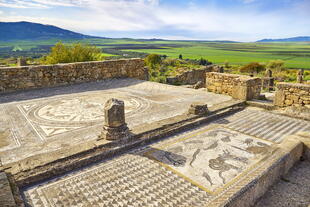 Mosaik in den römischen Ruinen