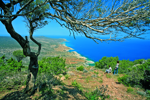 Die unberührte Natur Zyperns lädt zum Wandern ein