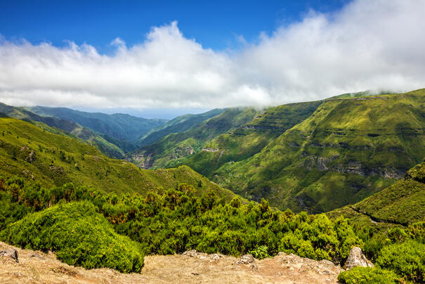 Madeira