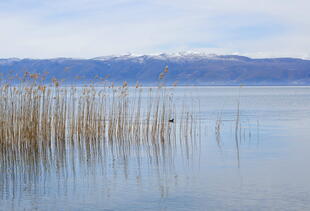 Ohrid See mit Blick auf den Galičica-Nationalpark