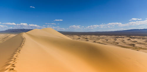 Fotohintergrund 'Gobi Wüste' Mit Kakteen & Bergen – 3x2,5 M, Vinyl, Lichtabsorbierend