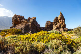 Steinformation im Teide Nationalpark