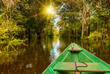Bootsfahrt im Amazonas
