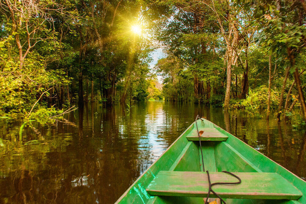 Bootsfahrt im Amazonas 