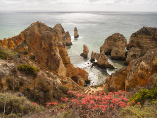 Die Ponta de Piedade 
