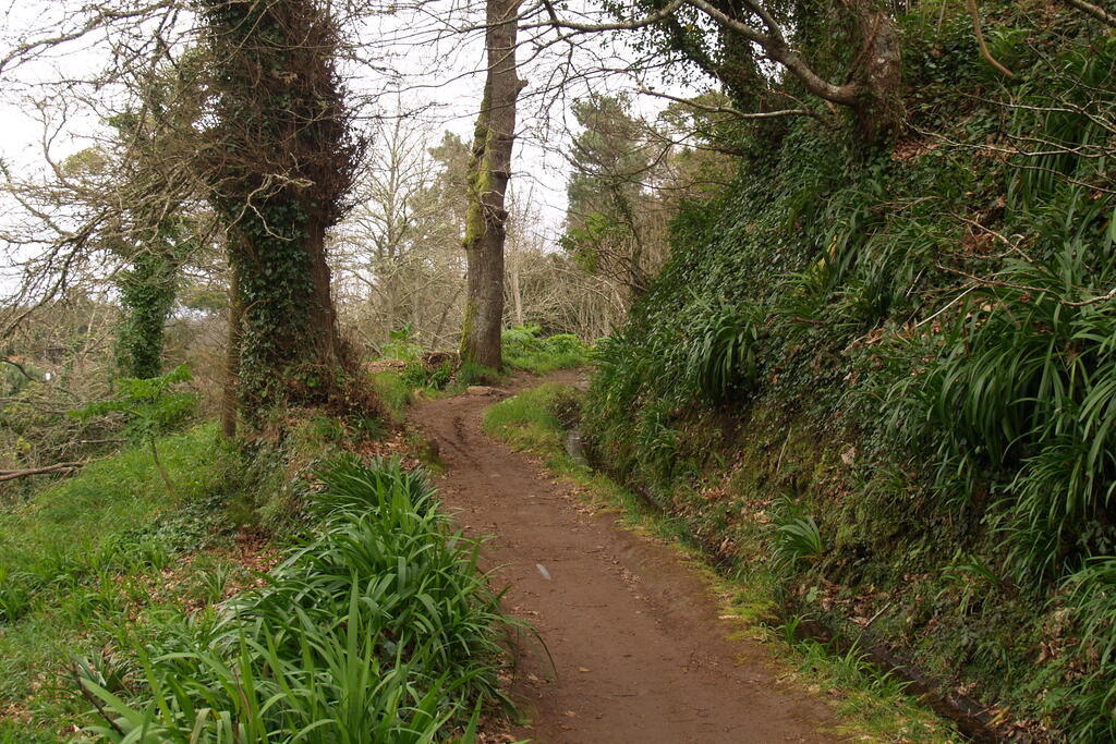 Levada Vale Paraíso