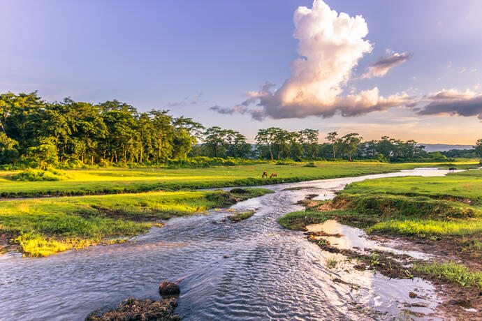 Chitwan Nationalpark