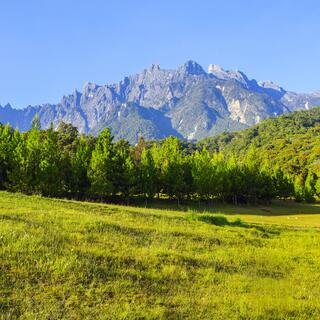 Kinabalu Nationalpark 