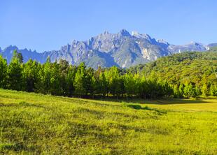 Kinabalu Nationalpark 