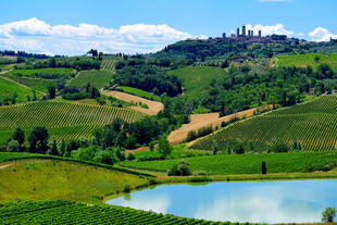 Landschaft um San Gimignano