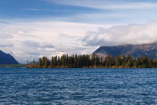 Atlin Lake in britisch Columbia