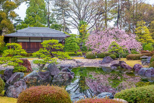 Garten von Ninimaur in Kyoto