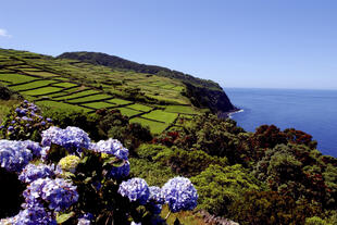 Grüne Landschaft der Insel Terceira