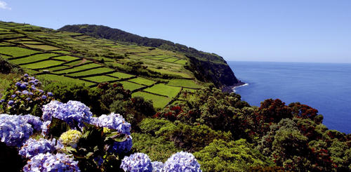 Grüne Landschaft der Insel Terceira