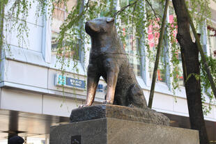Hachikō-Statue