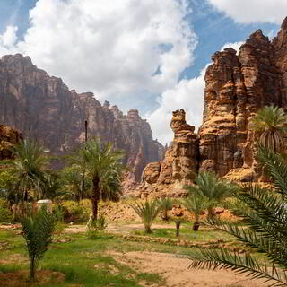 Palmen und Berge in Wadi Disah