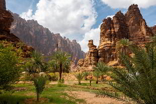 Palmen und Berge in Wadi Disah
