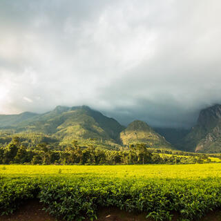 Mulanje Gebirge