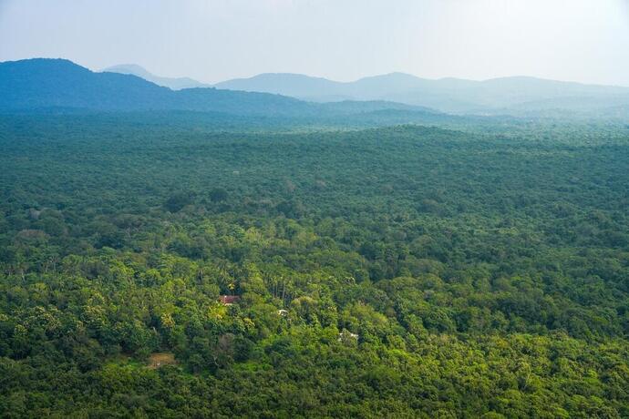 Naturlandschaft rund um Sigiriya