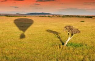 Ballonschatten in der Masai Mara 